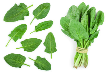 fresh spinach isolated on white background. Top view. Flat lay