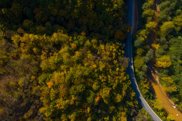 Road and river side by side surrounded by forest in autumn