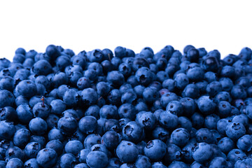 Fresh blueberry background. Texture blueberry berries close up.