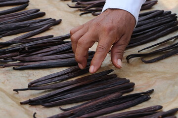 Vainas de vainilla