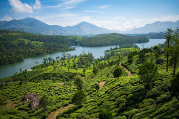 Chinnakanal, Munnar, Kerala, India
