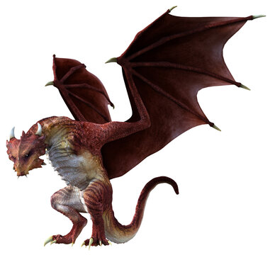 3D Rendered Red Wyvern - A Bipedal Dragon Isolated on Transparent Background - 3D Illustration