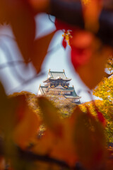 osaka castle in autumn
