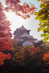 osaka castle in autumn