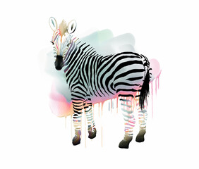 Fancy Zebra with Colorful Stripes