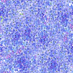 watercolor seamless pattern with drawing flowers of lilac, dlue floral background, , hand drawn botanical illustration