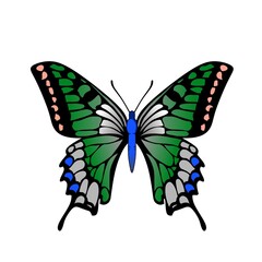 Illustration of a butterfly on a colorful transparent background vector art version. Colorful makes this image very popular.