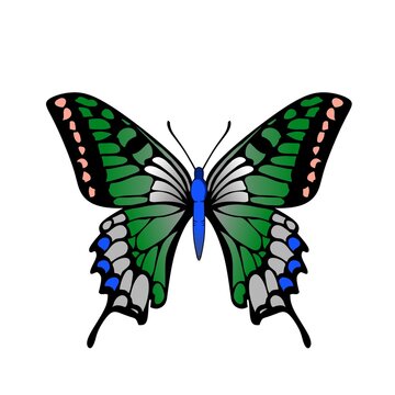 Illustration of a butterfly on a colorful transparent background vector art version. Colorful makes this image very popular.