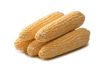 Yellow corn isolated on white background. Copyspace.