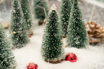 Christmas trees in snow