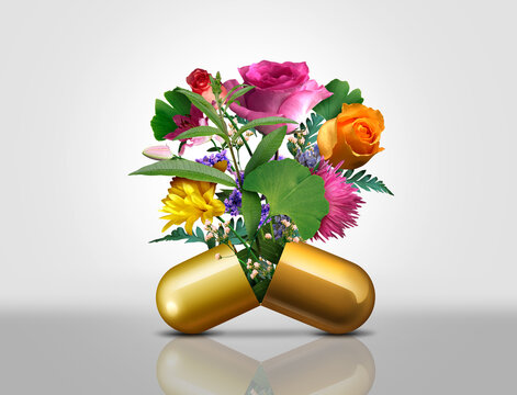 Natural Medication and alternative medicine as an open prescription pill capsule  with flowers and plants flowing out as a herbal wellness remedy for body healing