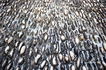 Stone texture crocodile skin