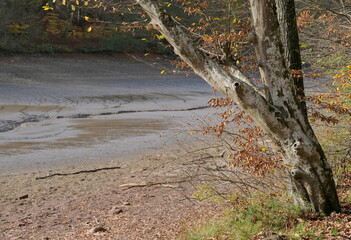 abgelassener Bärensee Stuttgart