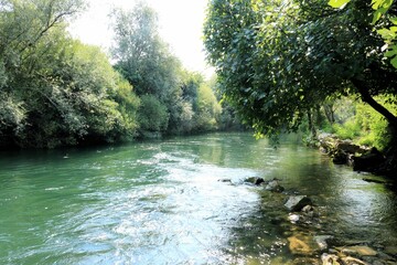 the green  nature and the Cetina river, Croatia