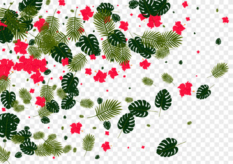 Pink Flora Background Transparent Vector. Leaf Artwork Pattern. Orange Foliage. Spring Illustration. Red Aloha Texture.