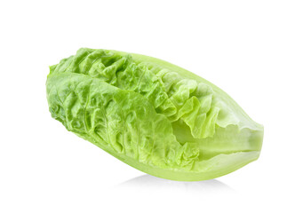 fresh baby cos (lettuce) on white background