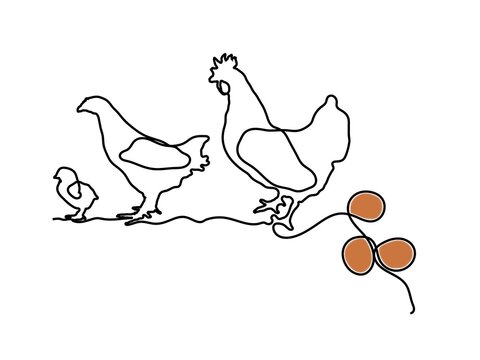 Layer Chicken Simple Line Art Illustration, Image for brochure, catalog, flyer, powerpoint, ppt, animal health product designs ideas.