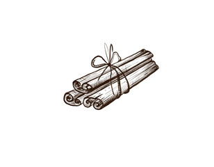 A stylish sketch of a cinnamon set of three sticks, tied with a string. The illustration is hand-drawn for menu design, printed and textile products.