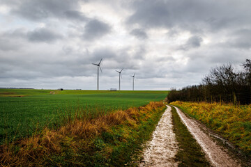 Fototapeta na wymiar Chemin dans la campagne avec éoliennes au lin