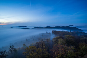 herbst im wald zum tagesanbruch