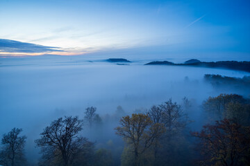 baumkronen im nebel im herbst