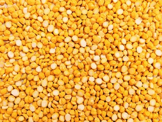 Split chickpeas legume dal chana Bengal gram lentils pulse yellow organic food full with protein...