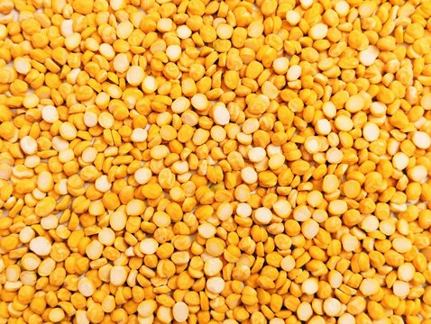 Split chickpeas legume dal chana Bengal gram lentils pulse yellow organic food full with protein harbara channa daal uncooked splitchickpea heap pile closeup view image picture stock photo.
