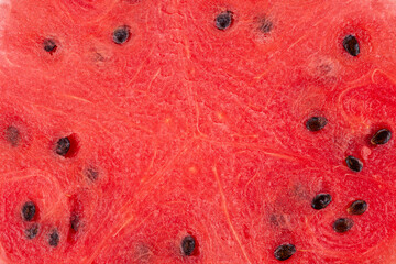 Watermelon texture close up.