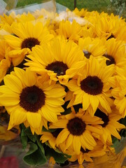 Bunch of sunflowers, flowers from the florary in the city center