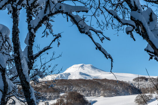 vue sur le massif du sancy avec ses montagnes enneig&eacute;es et ses forets par une belle journ&eacute;e hivernale ensoleill&eacute;e depuis le chemin de randonn&eacute;e du lac pavin