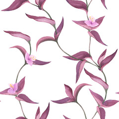 Floral seamless pattern with plant Tradescantia Pallida Purple Secretia, watercolor isolated illustration for textile, background, interior, wallpaper or wrapping paper.