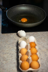 farm egg tray