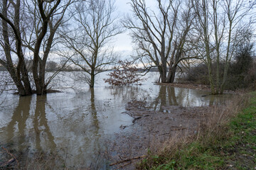 Hochwasser Flut - Müll im Rhein