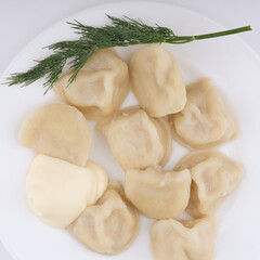 Cooked dumplings on a white plate with dill