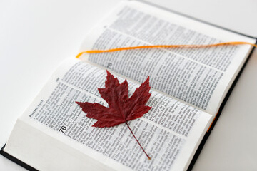 Faith and religion. Catholic church.
