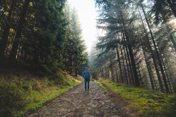 Fototapeta premium Hiker with a blue backpack walks in a forest environment. Through the trees and fog the morning sun streams through, illuminating the wildlife. Beskydy mountains, Czech republic