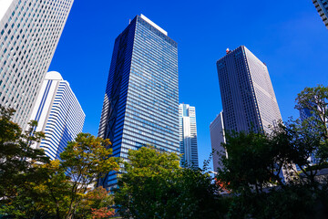 Fototapeta premium 秋晴れの西新宿 高層ビル街の紅葉（東京都新宿区）