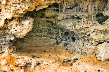 Cave-like erosion pattern in sandstone. Avoid Bay, Eyre Peninsula, South Australia, Coffin Bay...