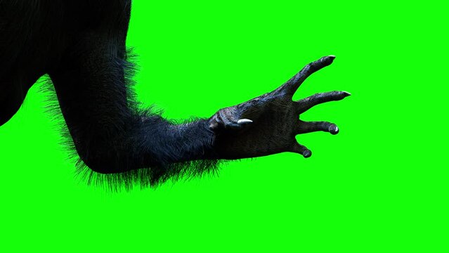 scary monster hand, furry werewolf paw for halloween background render 3d on green background
