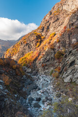 Fototapeta na wymiar River in a mountain gorge in autumn season