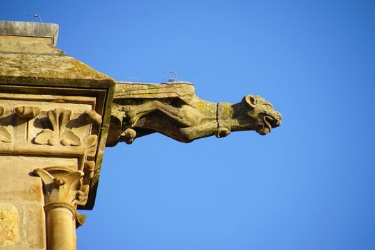 Der Paderborner Dom