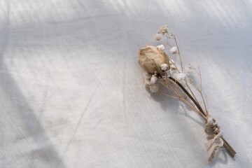 バラとかすみ草のドライフラワー