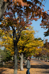 Fototapeta premium 紅葉と女性