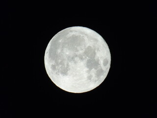 Fototapeta premium Genova, Italy-July 14, 2022: Beautifull full moon. Summer super moon with dark background behind. Moon detail in summer days.