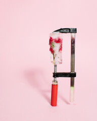 Frozen red flower squeezed with clamp tool on bright pink background. Cold winter season concept. Creative ice blossom frost with copy space. Minimal nature Christmas winter freeze.