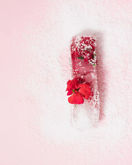 Frozen red flower on bright pastel pink background decorated with snow. Cold winter season concept with copy space. Creative ice blossom frost. Minimal nature Christmas winter snowy freeze.