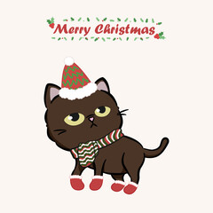 Merry Christmas with a cute dressed cat. Cute cat character for christmas and new year. Graphic resource for graphic, content , banner, sticker label and greeting card.