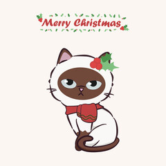 Merry Christmas with a cute dressed cat. Cute cat character for christmas and new year. Graphic resource for graphic, content , banner, sticker label and greeting card.
