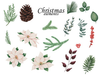 Fototapeta premium Poinsettia Flowers and Christmas Floral Elements. Hand drawn illustration collection on white background. Christmas floral collection for invitations, greeting card, textile, fabric, posters.