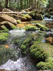 Górska rzeczka © Adam